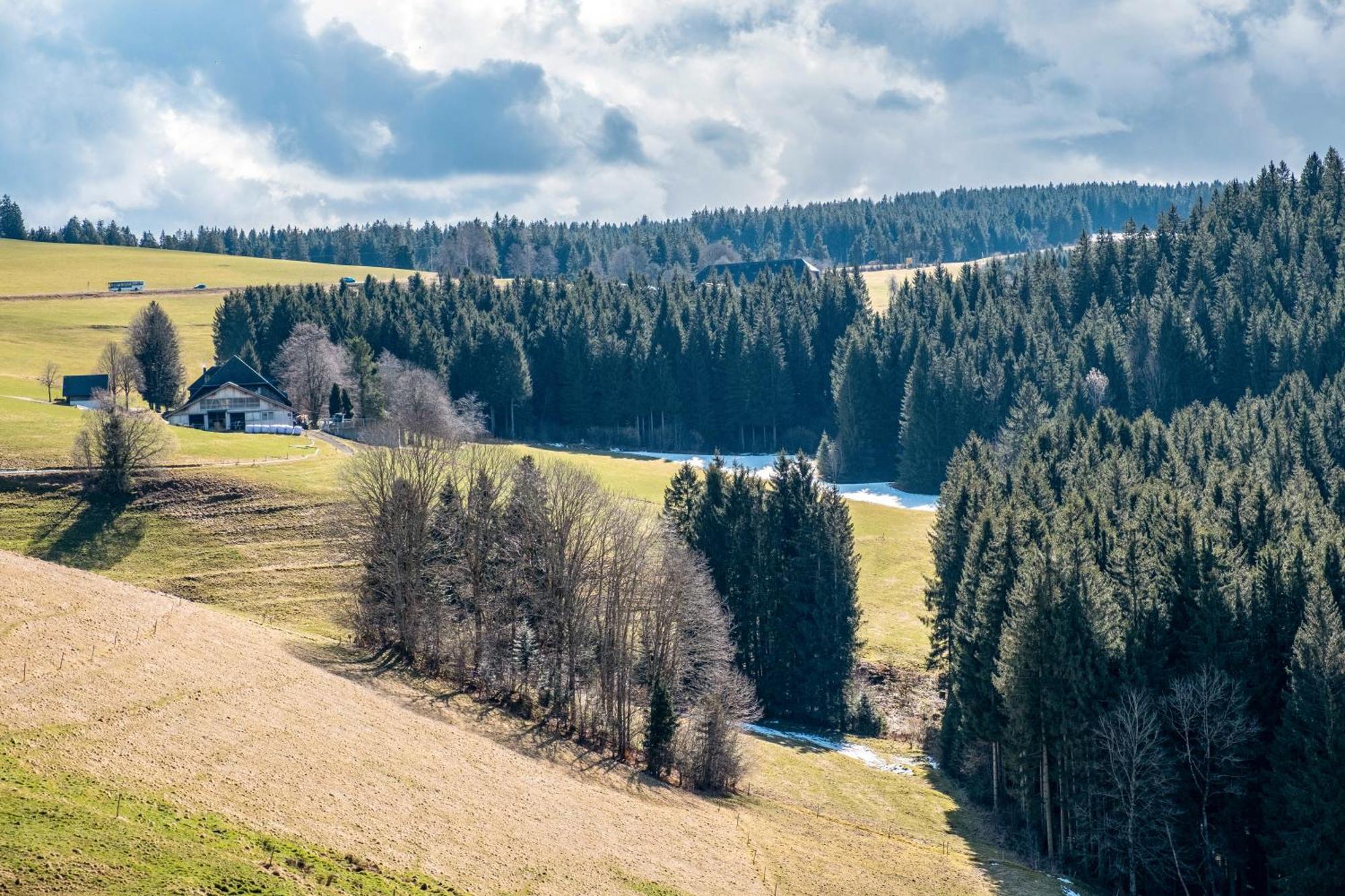 Apartament Brosihof Erlenbach  Zewnętrze zdjęcie