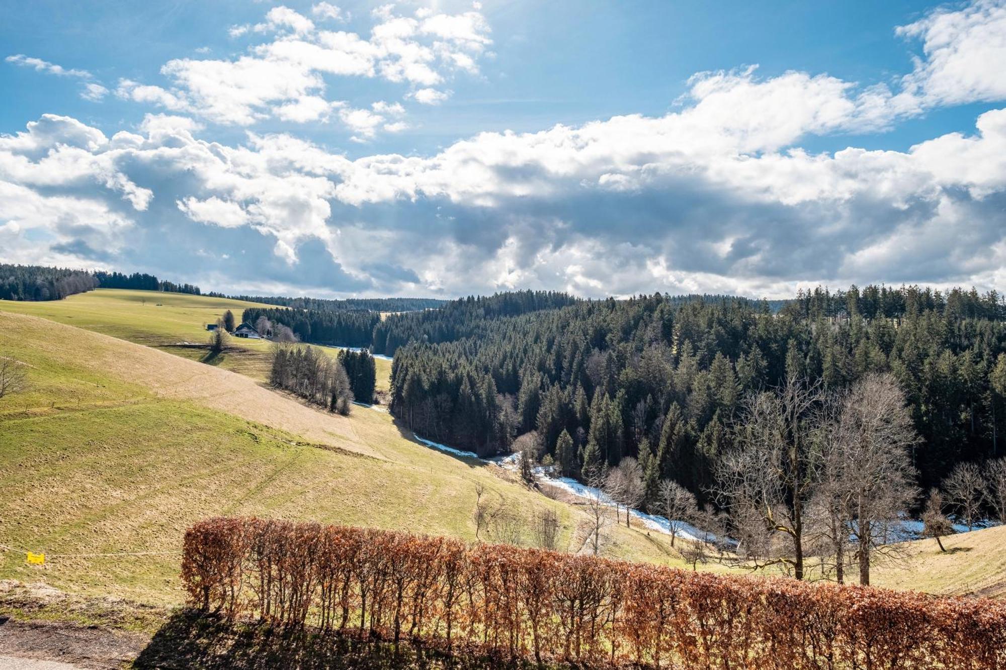 Apartament Brosihof Erlenbach  Zewnętrze zdjęcie